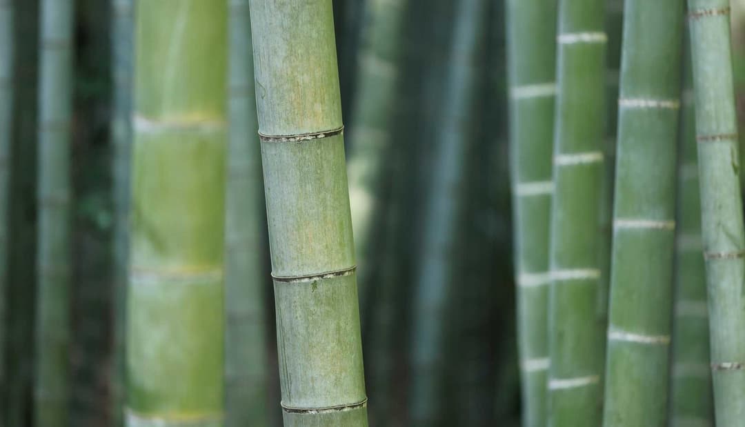 Big title for video 1 with a lot of text and stuff like that and a little bit more text to make it even longer